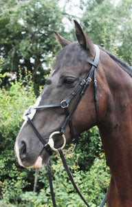 Sheldon Grackle Bridle & Flexi Rubber Reins